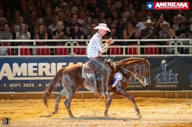 AMERICANA — photo 3