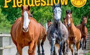 Bernsteinreiter Pferdeshow "Ostseewelten" (Sommerserie) logo