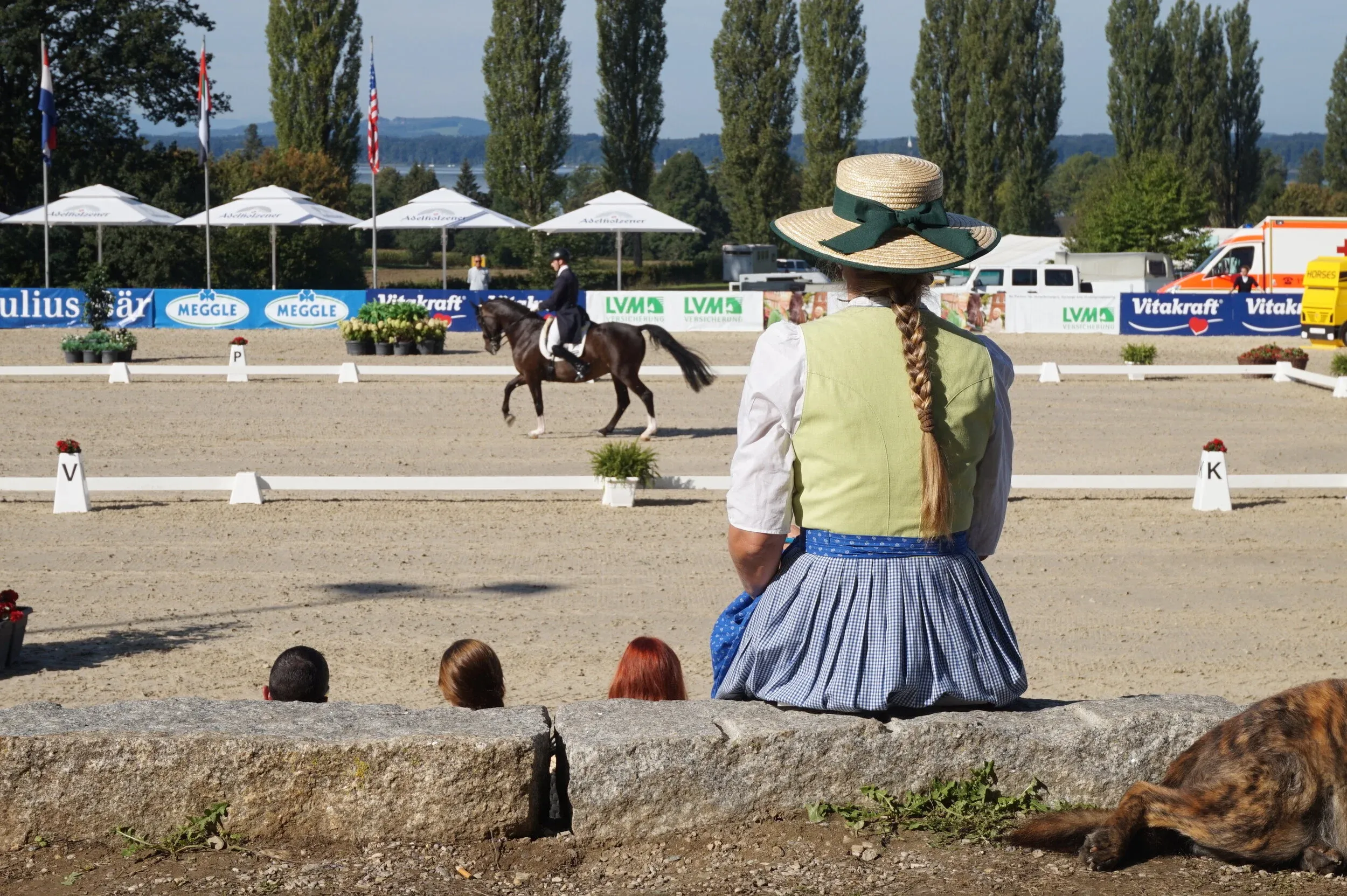 Chiemsee Pferdefestival 2026 – Gut Ising — photo 2