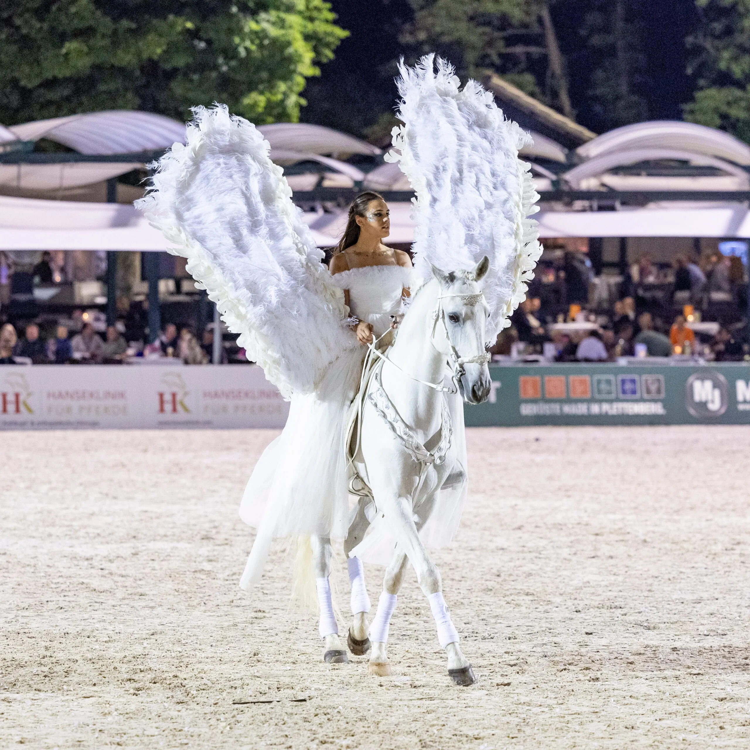 Die Reiternacht – Aftershow Longines Balve Optimum 2026 — photo 2