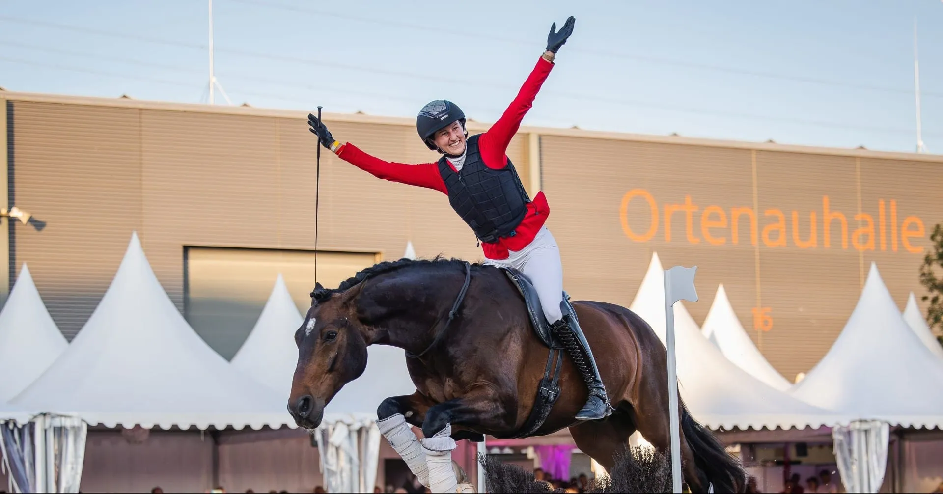 eurocheval — photo 4