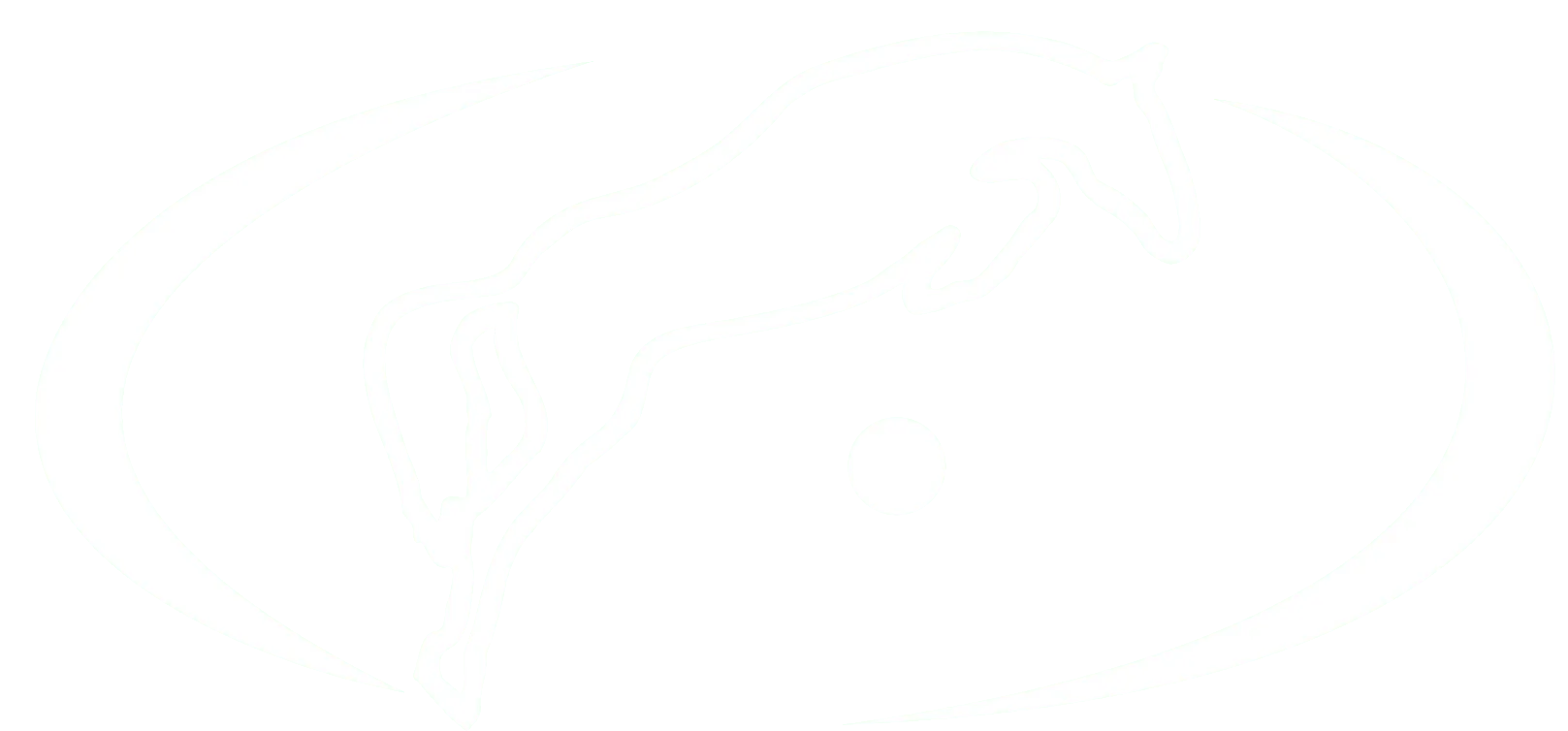 Fest der Pferde Donaueschingen 2026 logo