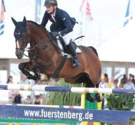 Fest der Pferde Donaueschingen 2026 — photo 2