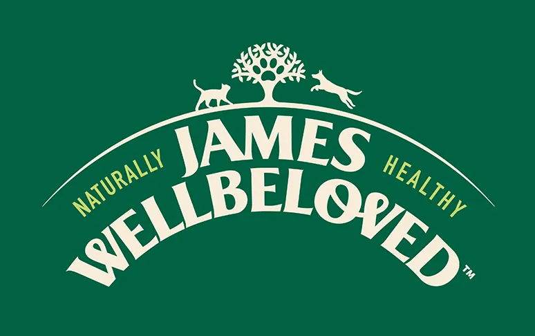 Hund & Pferd — photo 3