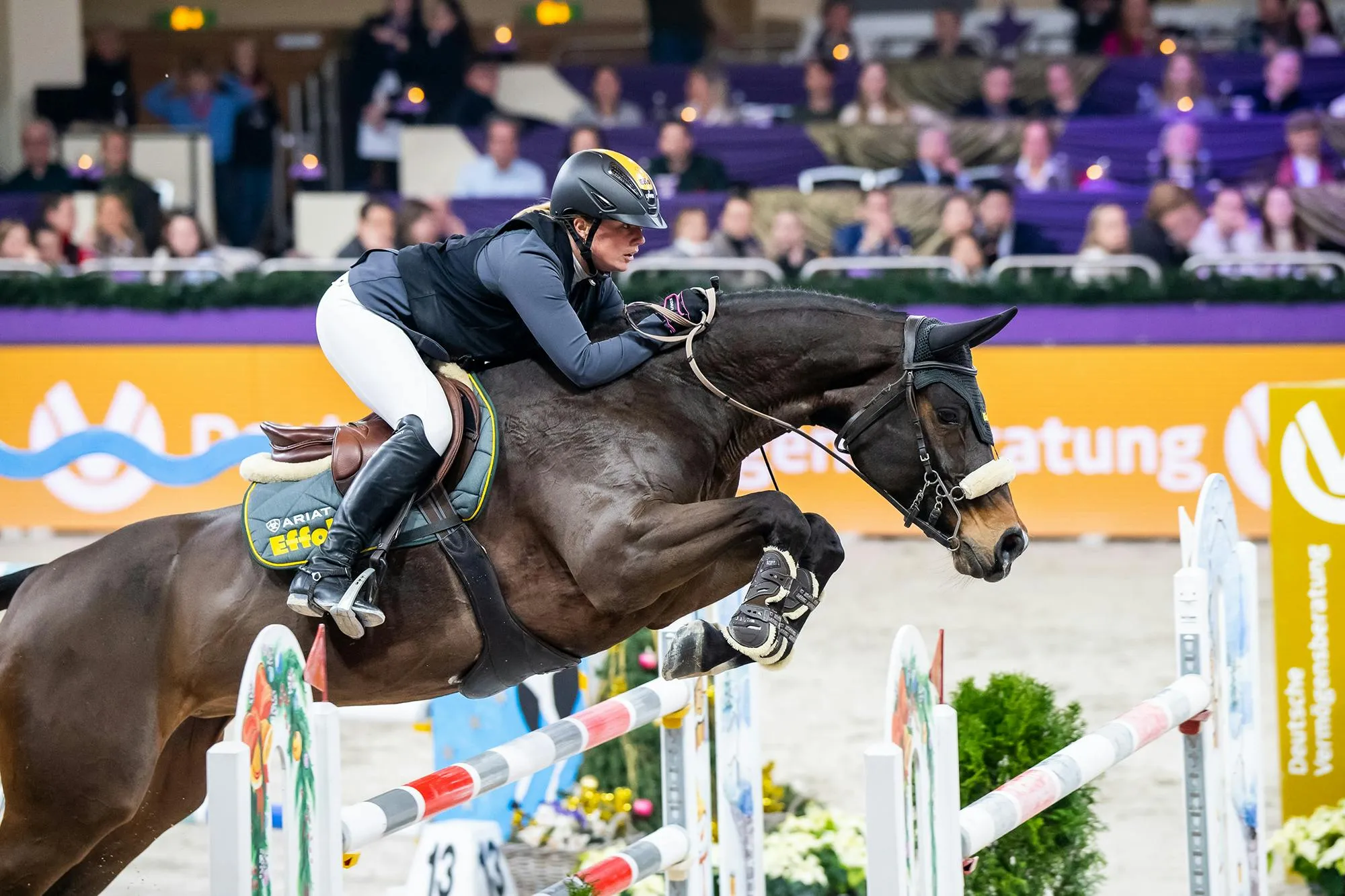 Internationales Festhallen Reitturnier Frankfurt 2026 — photo 3