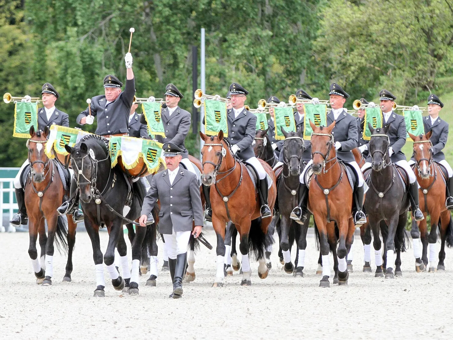 Moritzburger Hengstparaden 2026 — photo 1