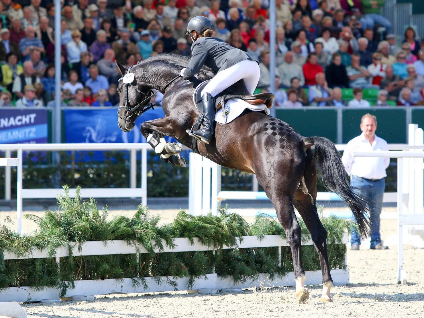 Moritzburger Hengstparaden 2026 — photo 4