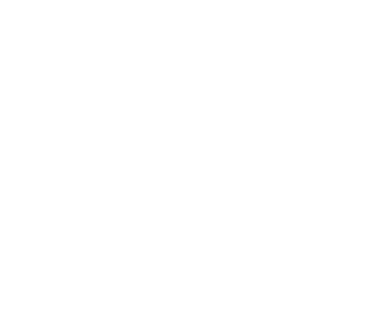 Nacht der Pferde – PFERD Wels 2026 — photo 3