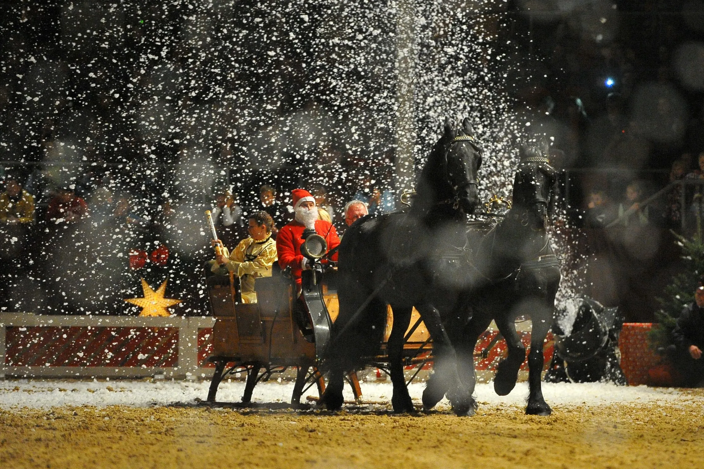 Neustädter Hengstparade 2026 — photo 3