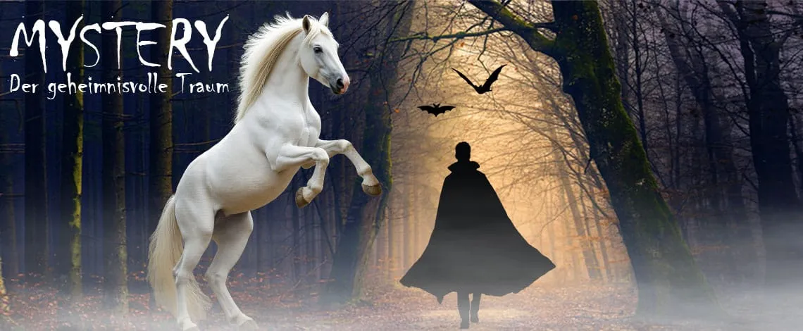 NORDPFERD — photo 4