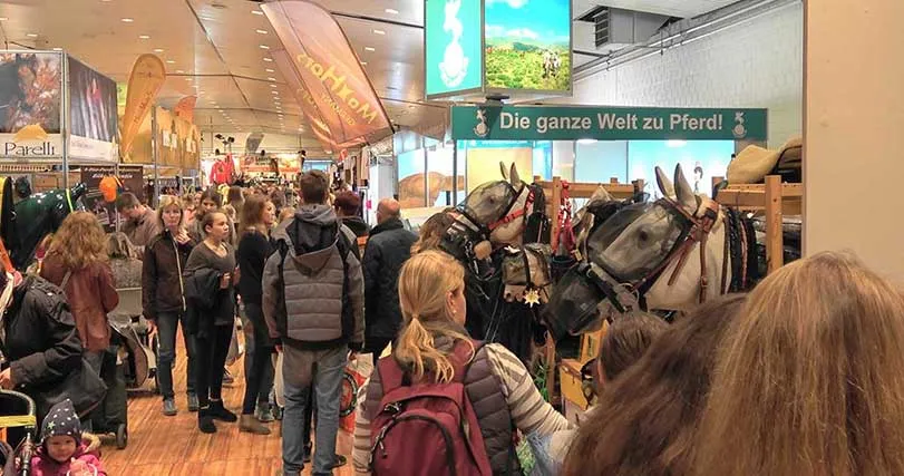 NORDPFERD — photo 5