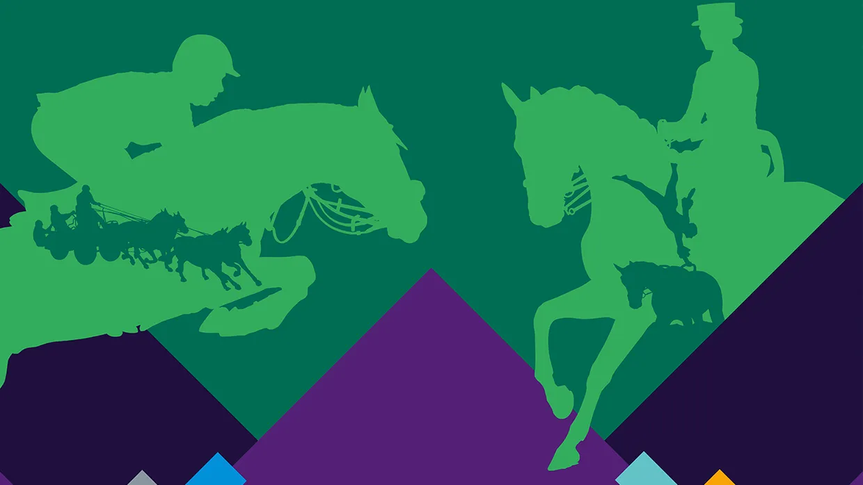 Partner Pferd Leipzig 2027 — photo 1