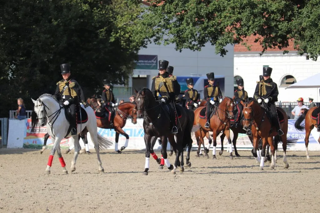 Redefiner Pferdetage mit Hengstparade 2026 — photo 1