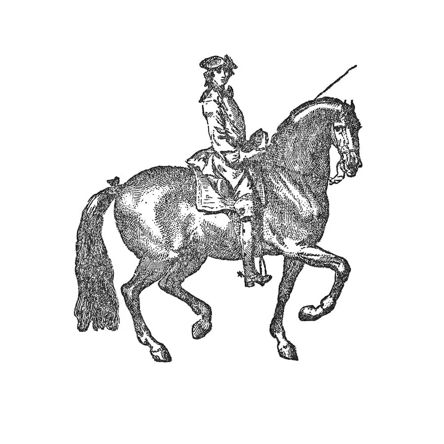 Spanische Hofreitschule Wien - Lipizzaner Vorführungen 2026 — photo 3